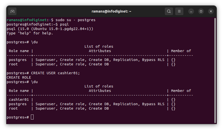Create PostgreSQL database user with PSQL shell