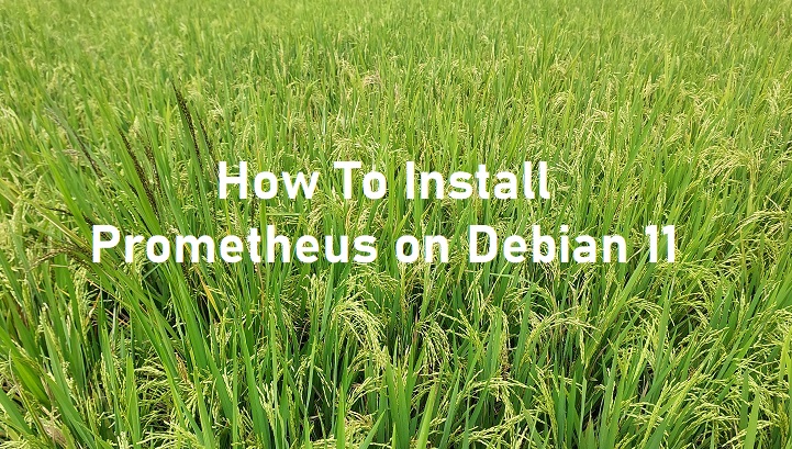 How to Install Prometheus on Debian 11