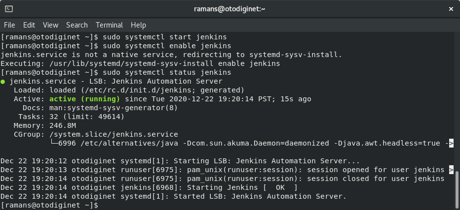 staring Jenkins service