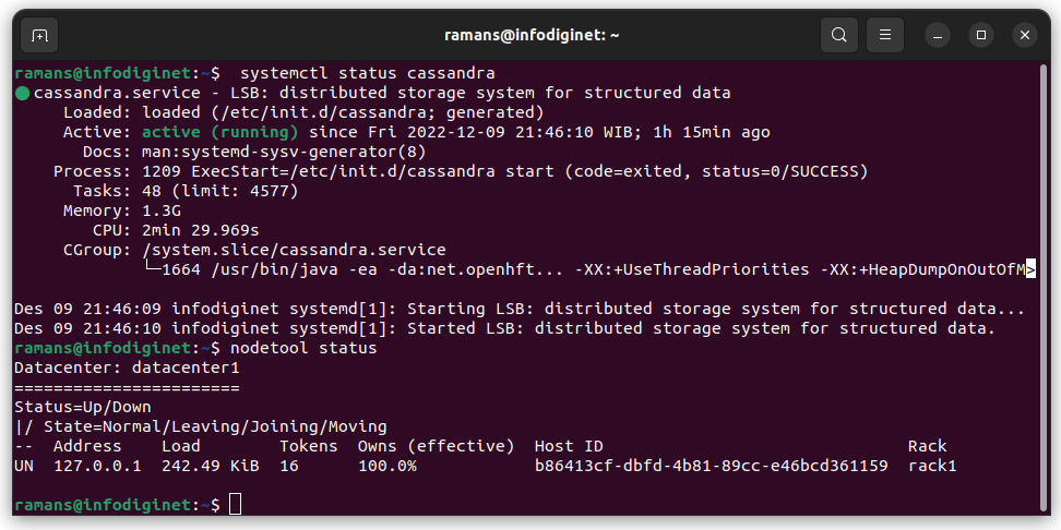 Apache Cassandra Service