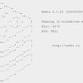 How To Install Redis 6.0 On Ubuntu 22.04