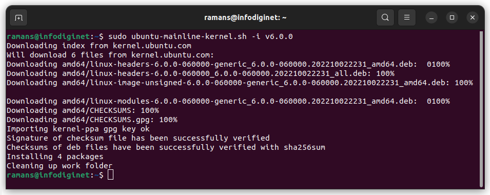 install Linux Kernel version 6.0.0