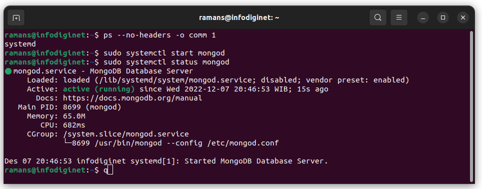 Starting MongoDB services