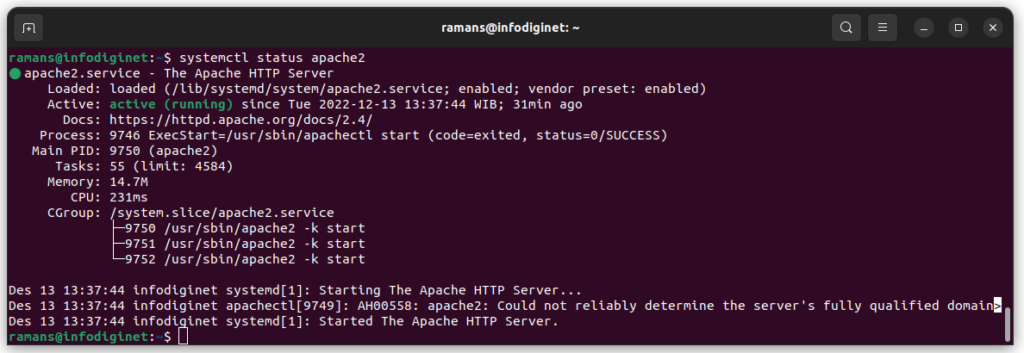 pgAdmin4 service is running properly