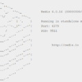 How to check Redis version