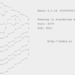 How to check Redis version