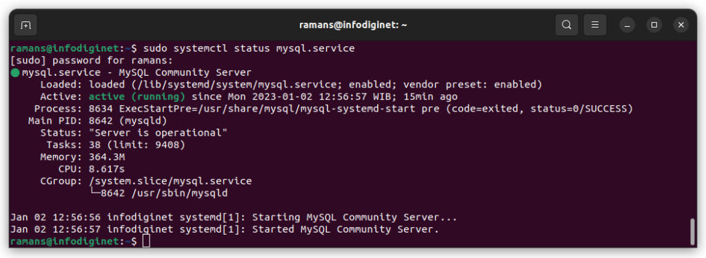 MySQL sever 8.0 service