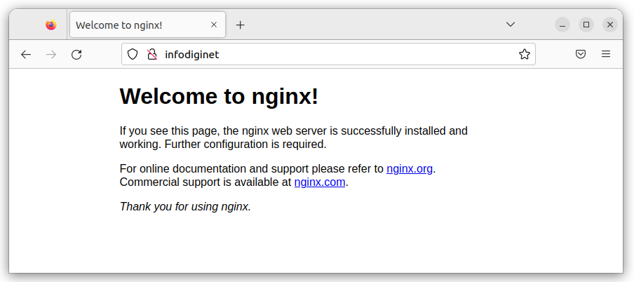 Nginx service is running OK
