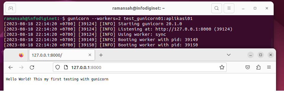 install gunicorn on Ubuntu 22.04