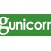 How to install gunicorn on Ubuntu