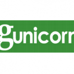How to install gunicorn on Ubuntu