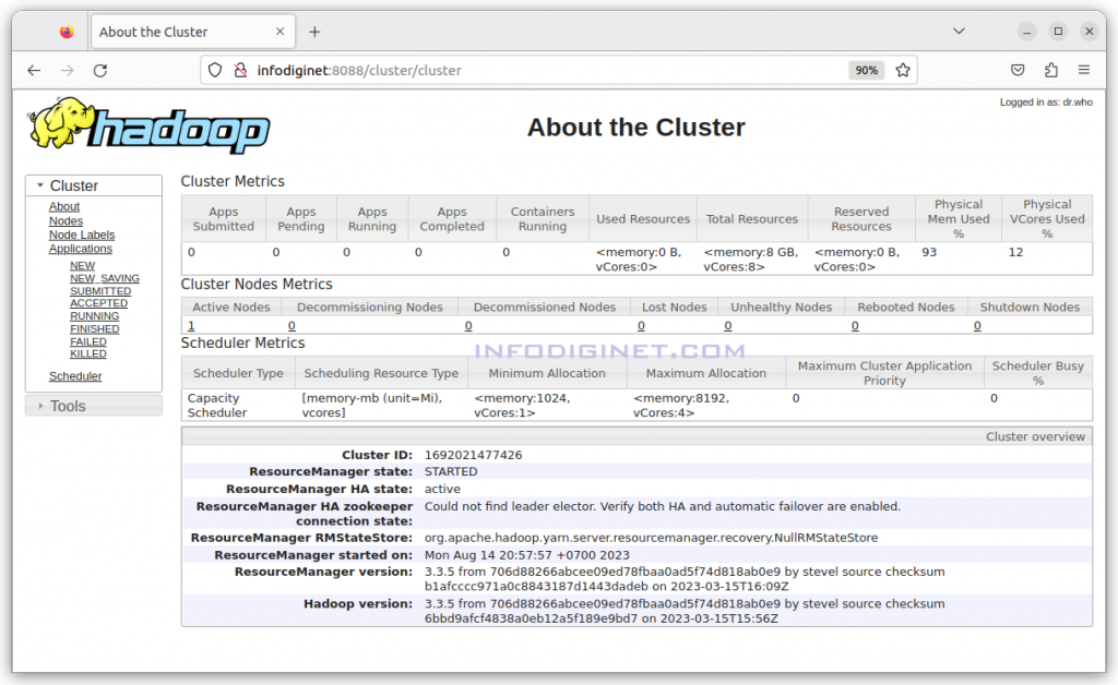 Apache Hadoop Application page